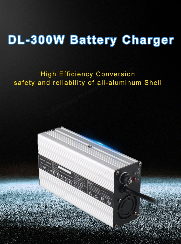 300W Liefpo4 Charger Car Battery Charger Power Tool Batteries 73.4V 3.5A 60V