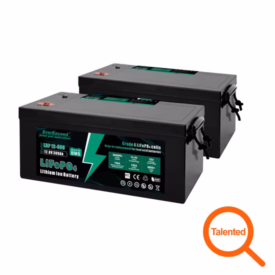 ヨーロッパで最も人気がありベストセラーの RV 用ソーラー鉛蓄電池 12V 100Ah 200Ah 300Ah LiFePO4 リチウム イオン バッテリー