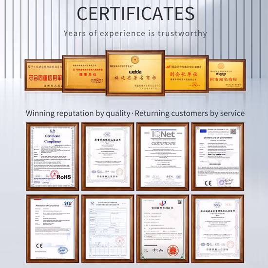 Weida 600 ワットポータブルバッテリー外部電源緊急集魚灯 LiFePO4 緊急オートスタートリチウム電池